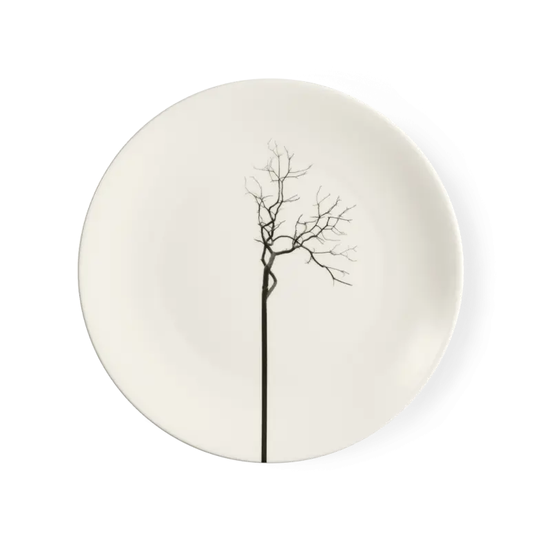 Black Forest - Dinner Plate 11in | 28cm (Ø) Dibbern