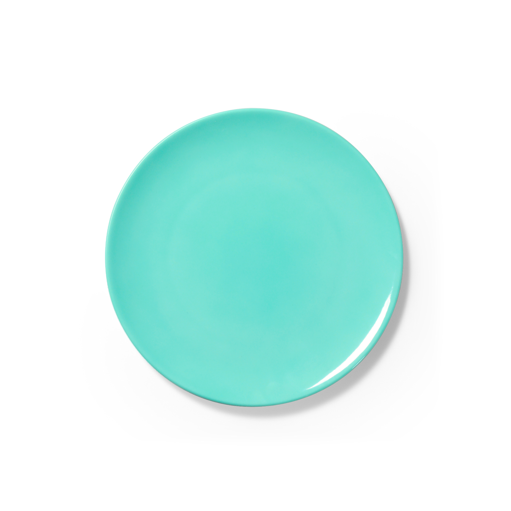 One Color - Plate 23cm | 9.1in (Ø)