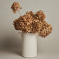 Cicco Vase in Limestone EIMI