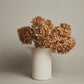 Cicco Vase in Limestone EIMI