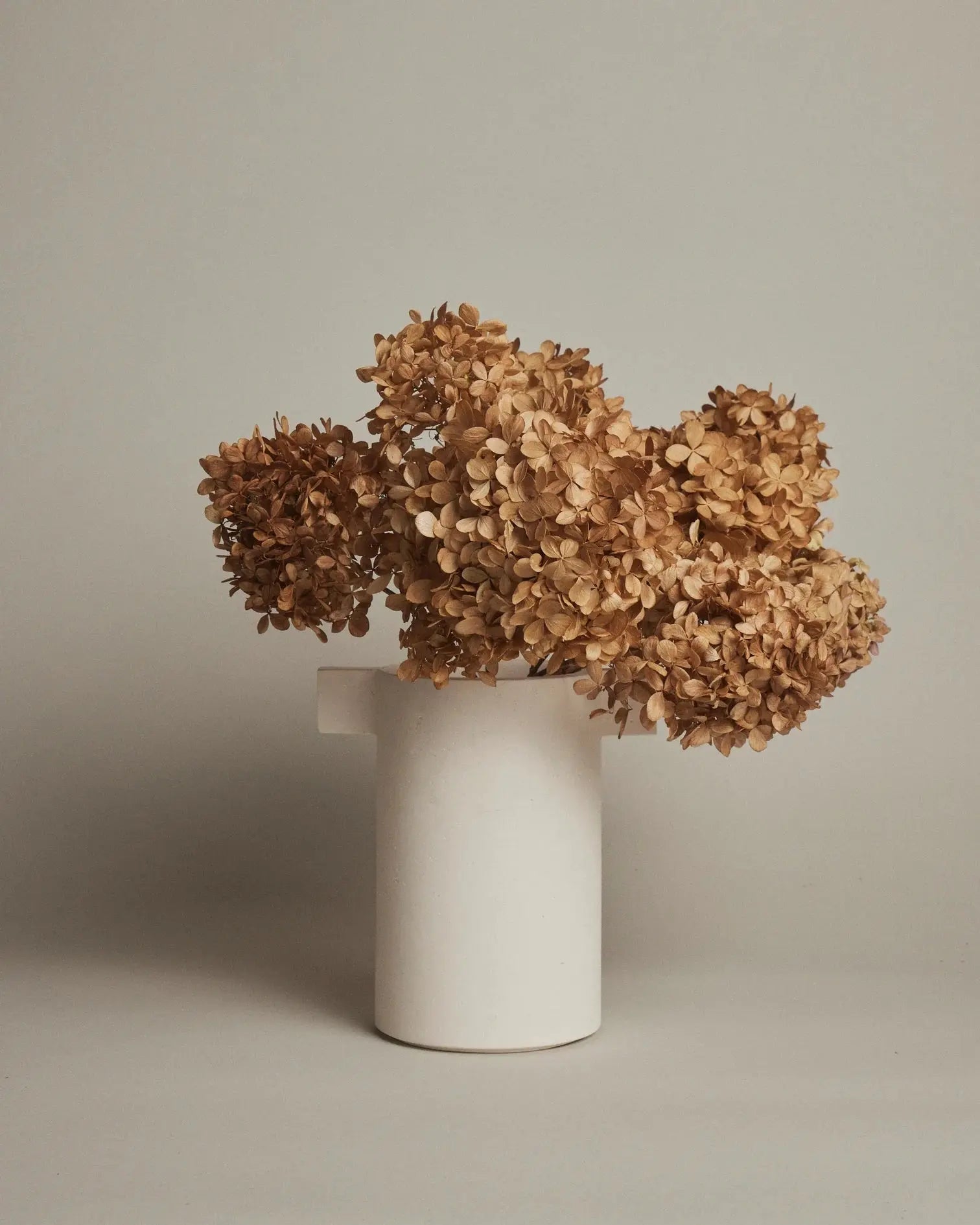 Cicco Vase in Limestone EIMI