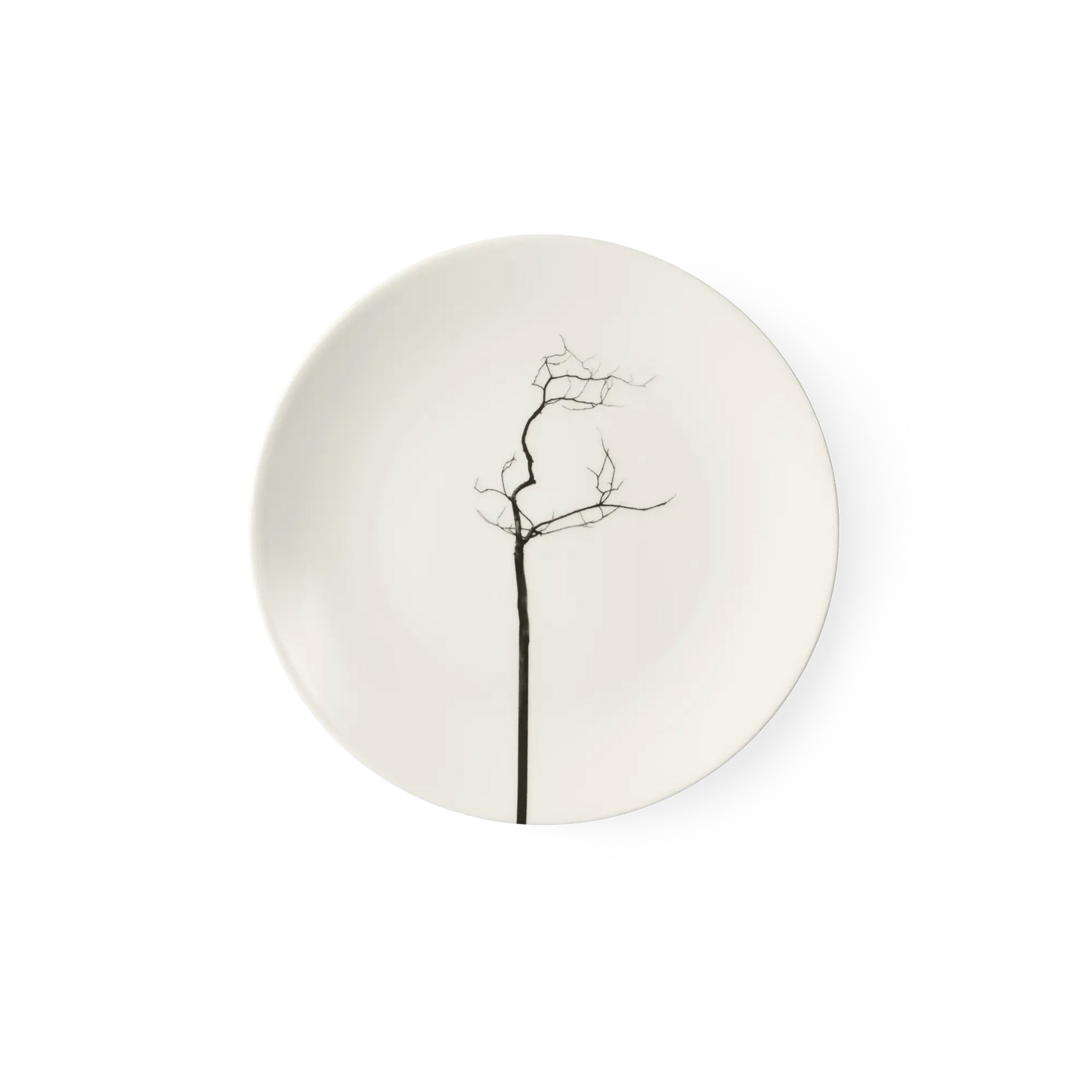 Black Forest - Dessert Plate 8.3in | 21cm (Ø) Dibbern