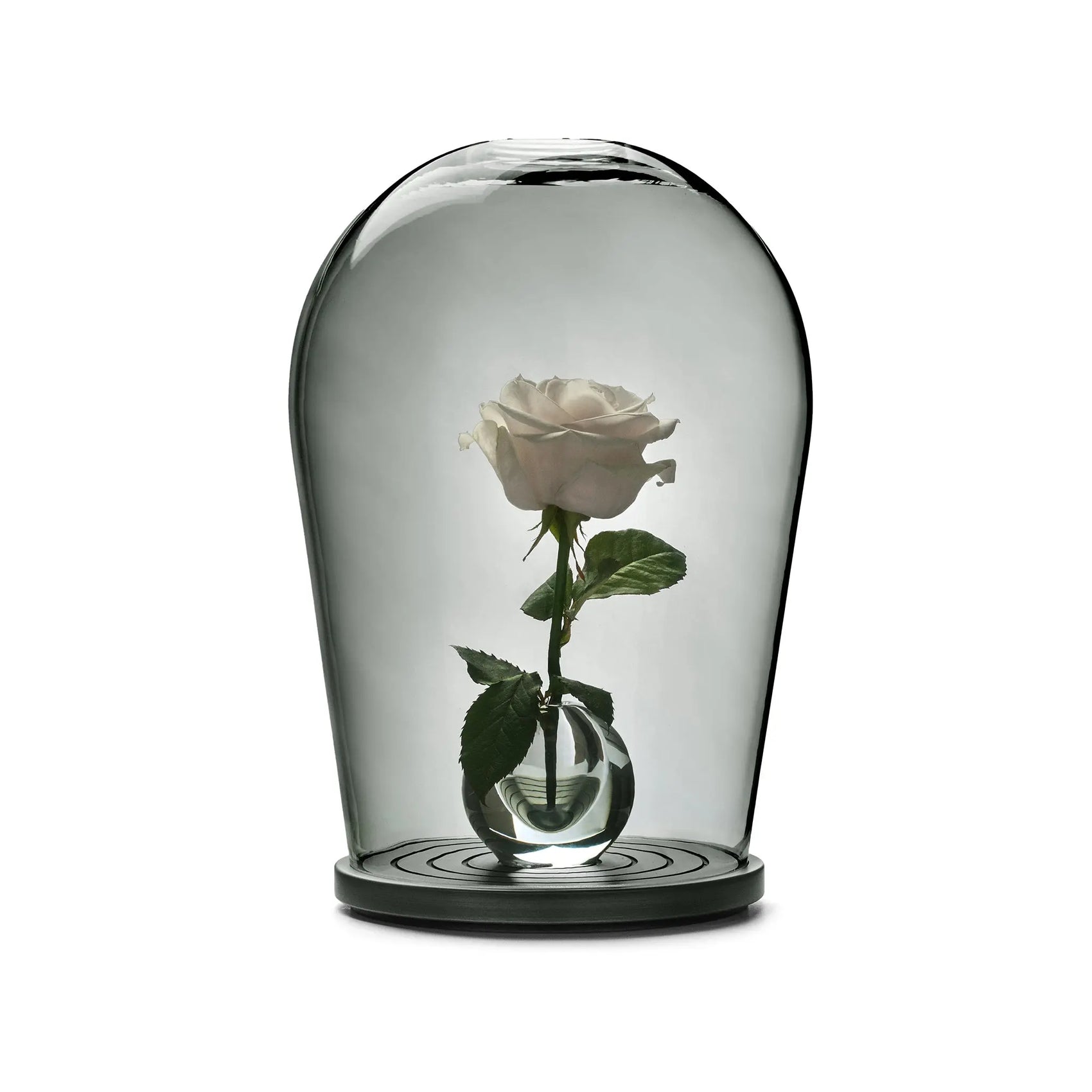 Maximilian Jencquel - Bell Jar When Objects Work