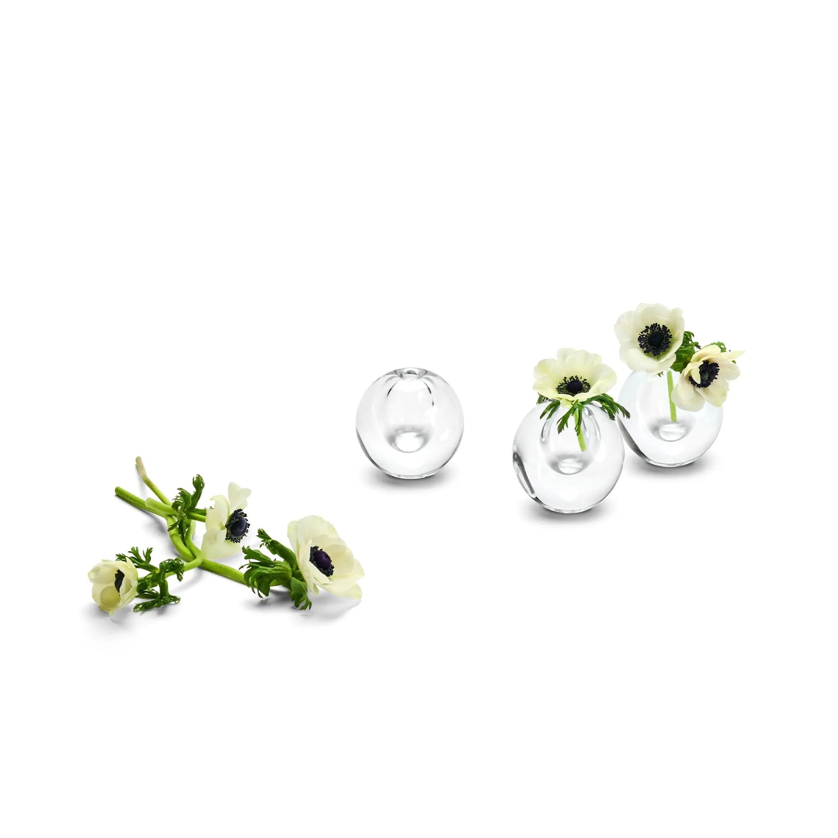 Maximilian Jencquel - Mini Vase When Objects Work