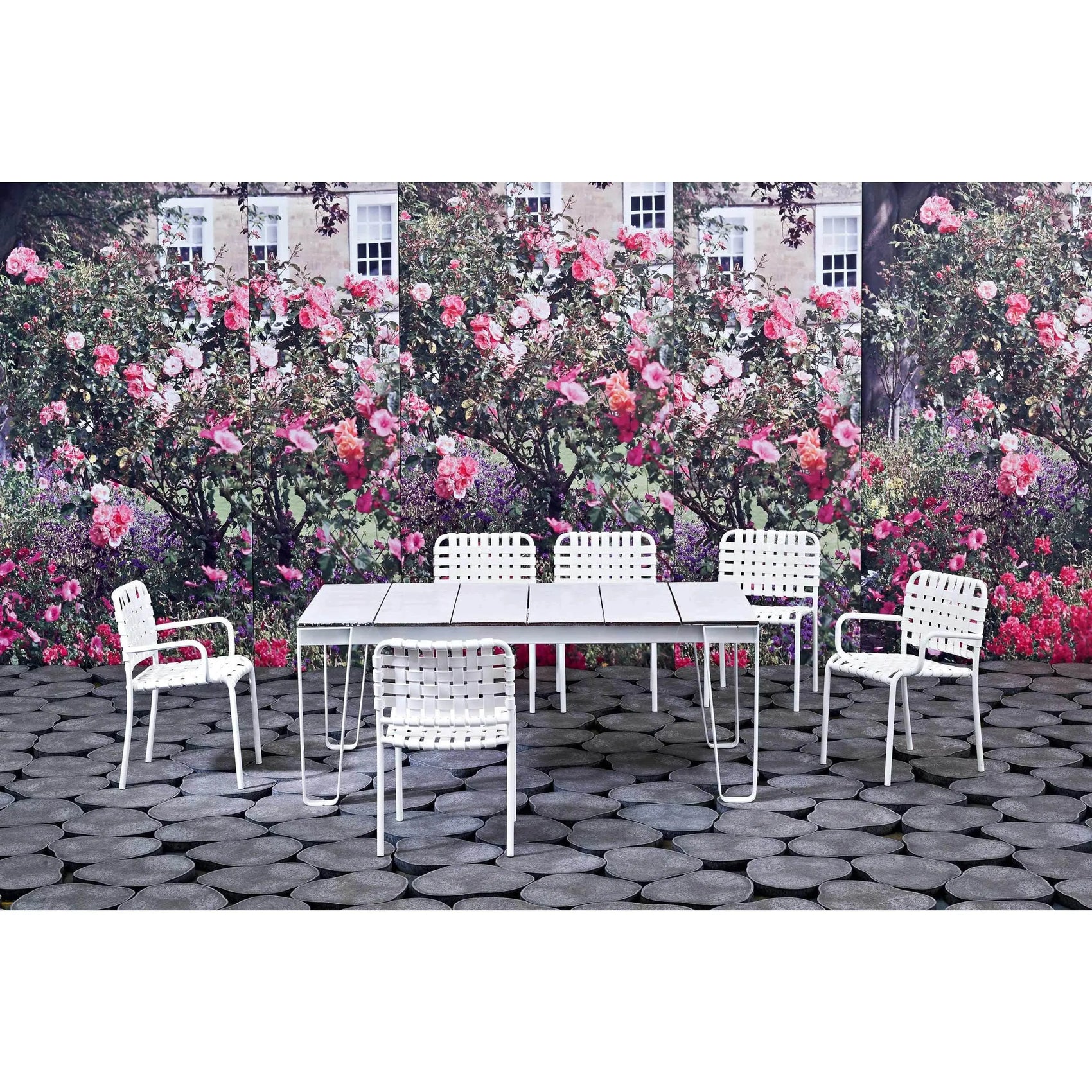 InOut 824 Dining Armchair | Gervasoni | JANGEORGe Interior Design