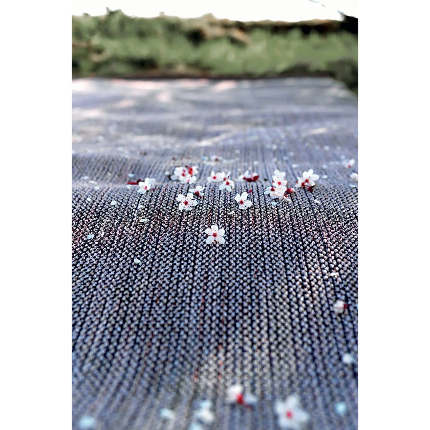 Paglietta Rug | GT Design | JANGEORGe Interior Design