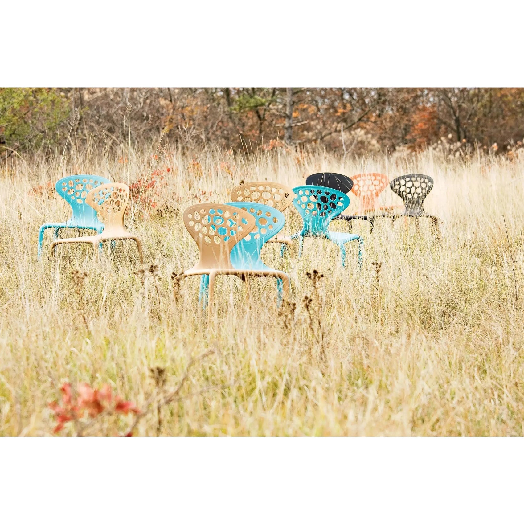 Supernatural Chair | Moroso | JANGEORGe Interior Design