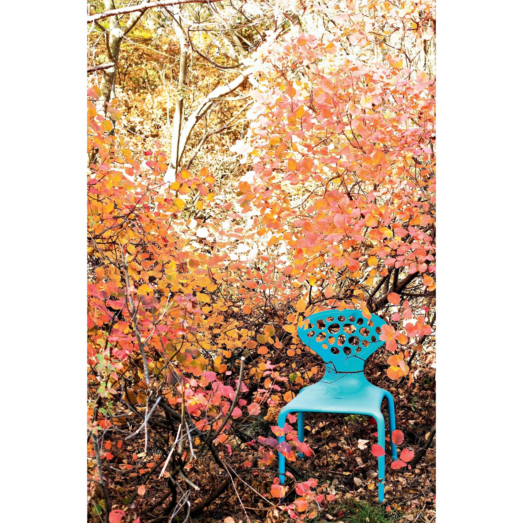 Supernatural Chair | Moroso | JANGEORGe Interior Design