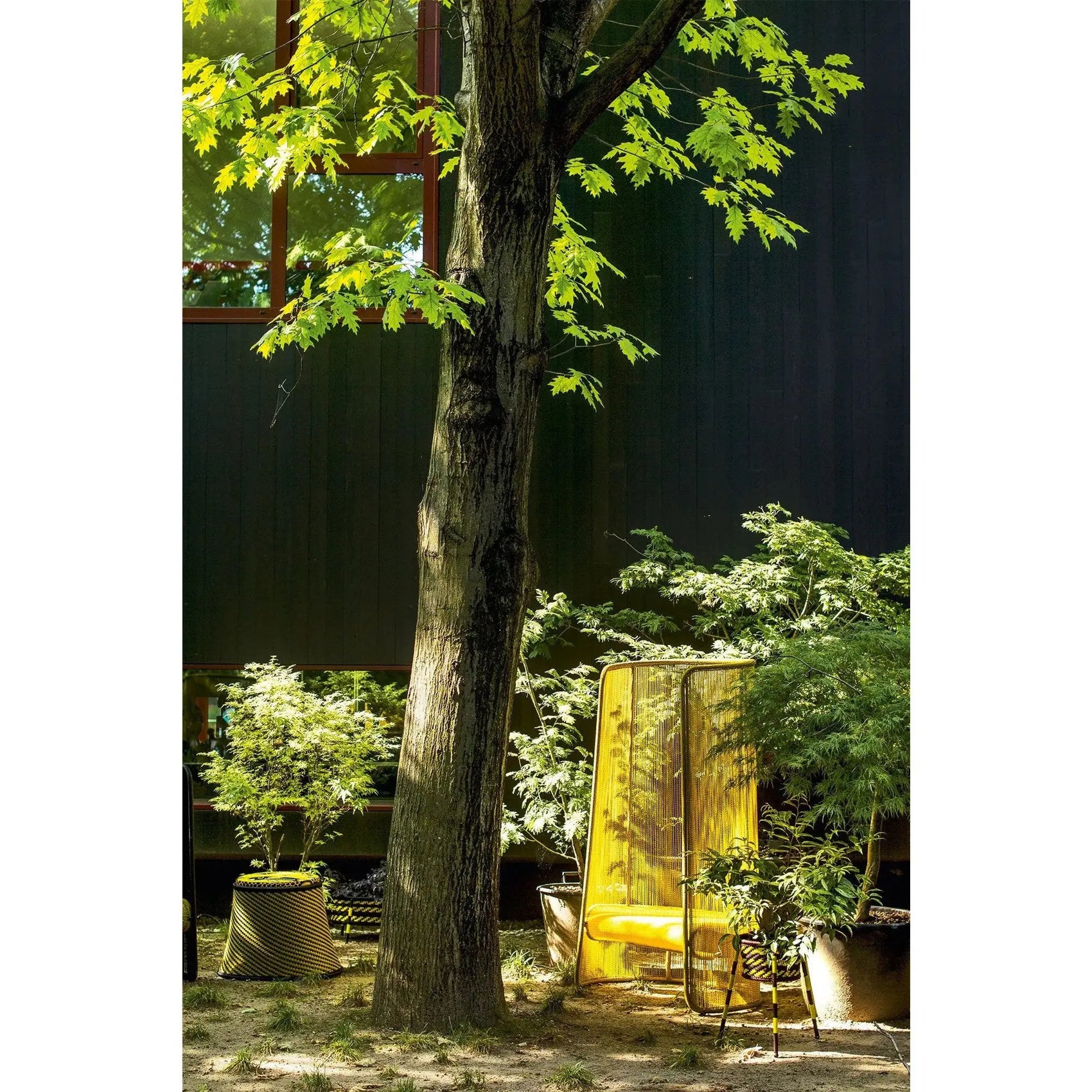 JANGEORGe Interiors & Furniture Moroso Husk Outdoor Armchair