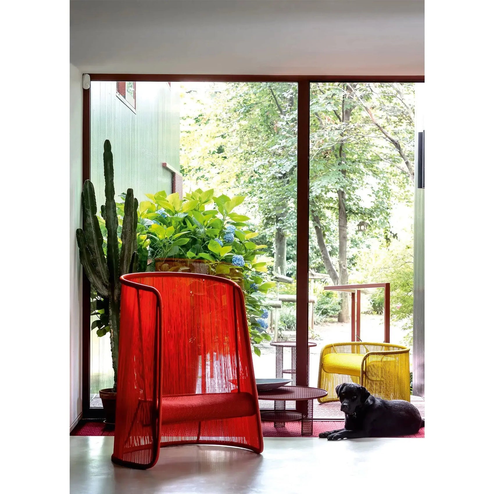 JANGEORGe Interiors & Furniture Moroso Husk Outdoor Armchair