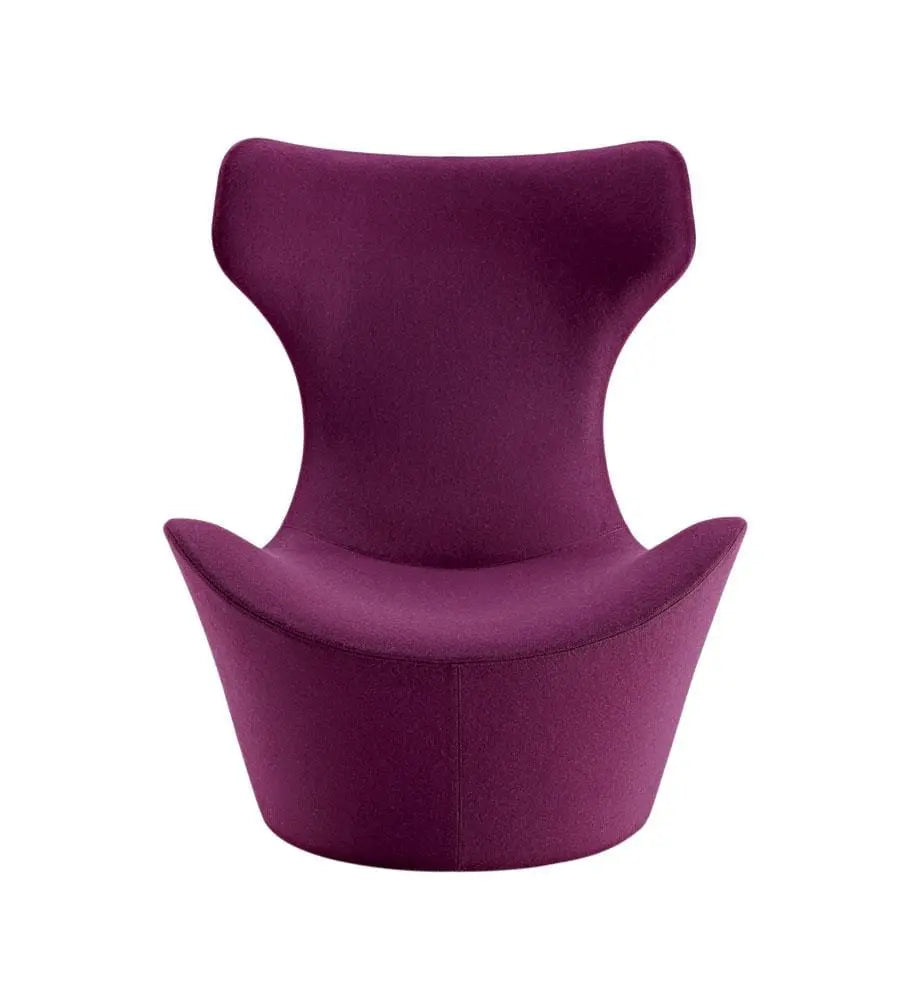 Grande Papilio Armchair | B&B Italia | JANGEORGe Interior Design
