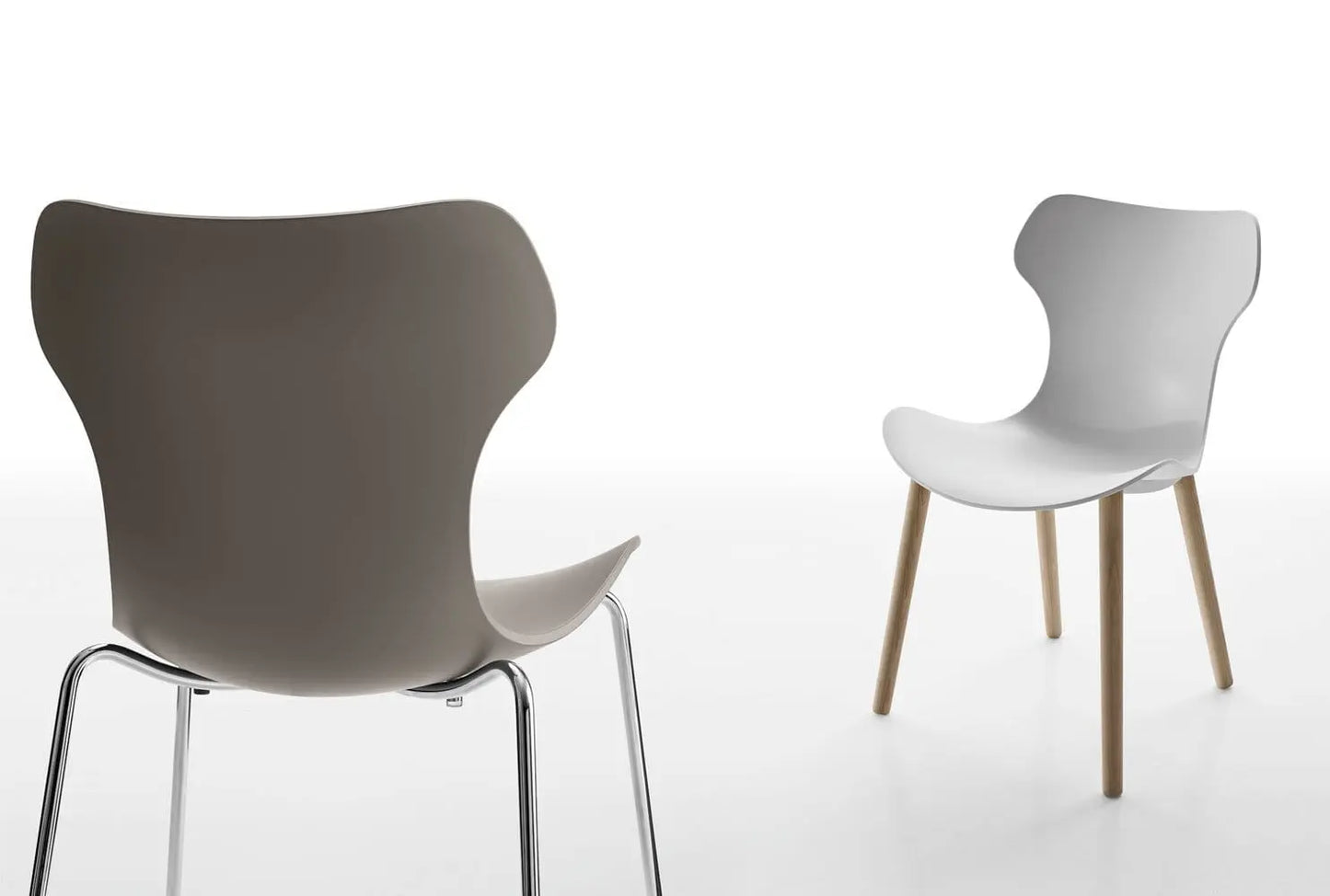 Papilio Shell Chair | B&B Italia | JANGEORGe Interior Design