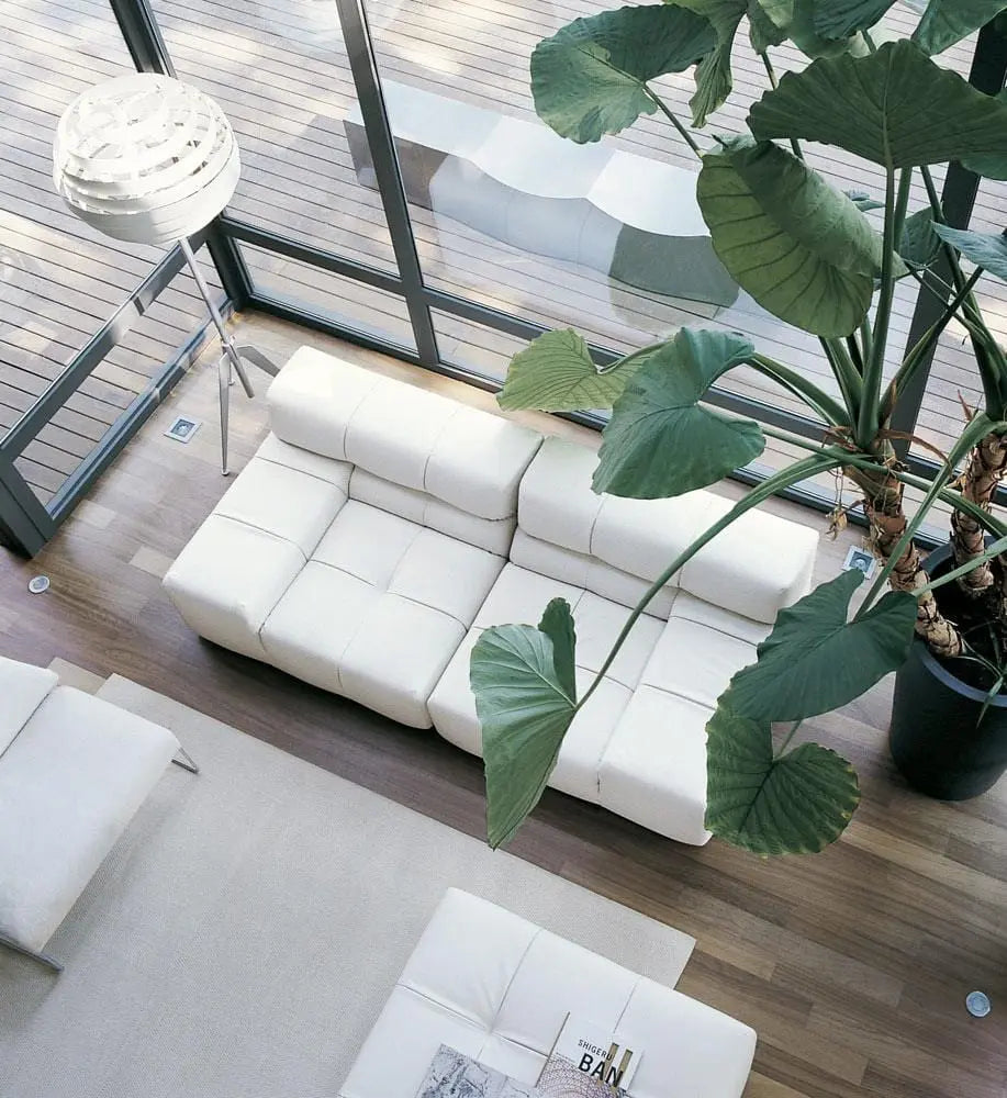 Tufty-Time Sofa | B&B Italia | JANGEORGe Interior Design