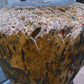 JANGEORGe Interiors & Furniture Antiques Rustic Butcher Block